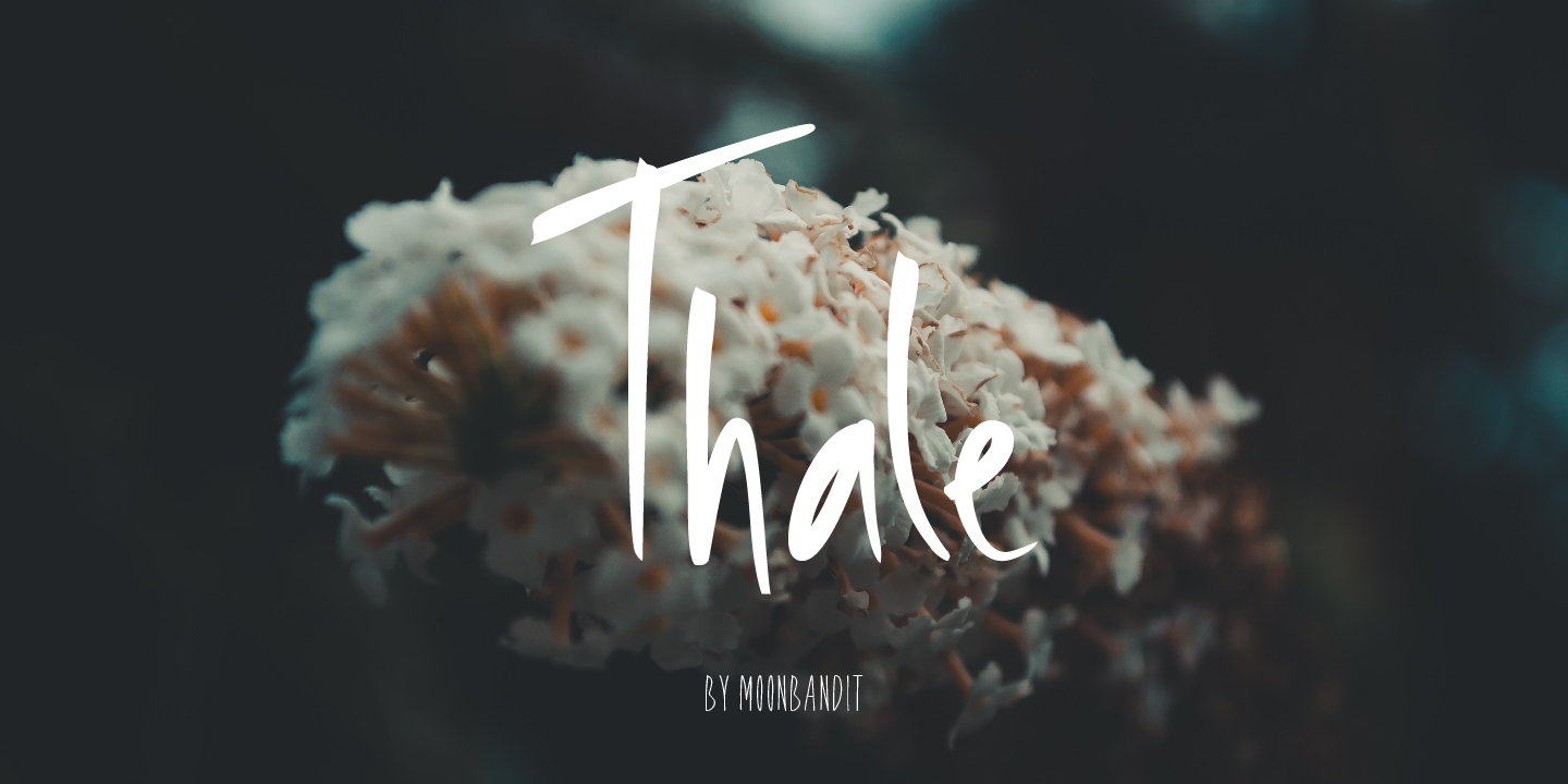 FONT PREVIEW THALE-13