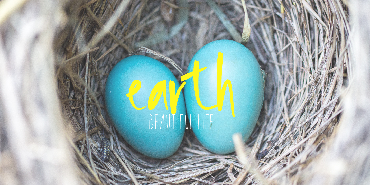 FONT PREVIEW THALE-15