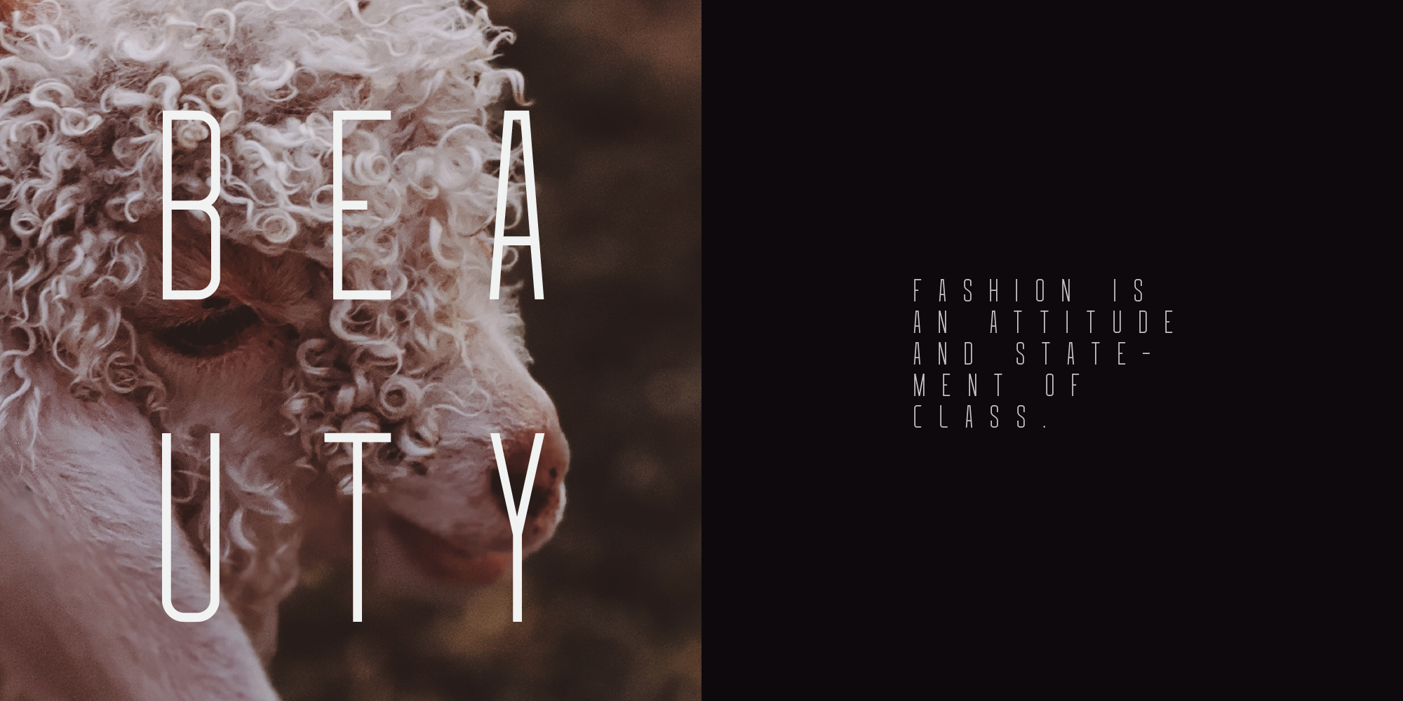 FONT PREVIEW MEZANINE-16